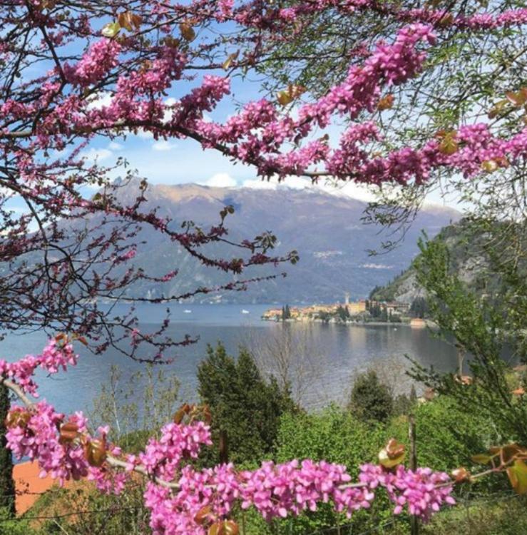 La Punta Di Varenna Bagian luar foto
